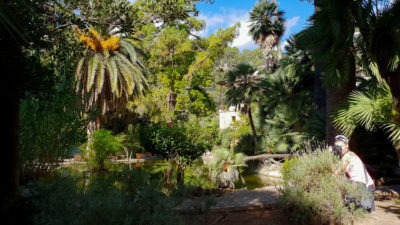 Jezírko - Jardins d'Alfabia