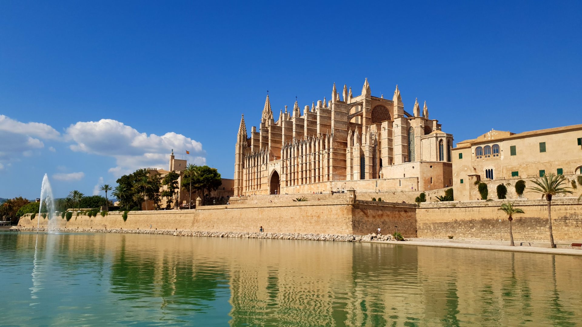 Katedrala Palma de Mallorca