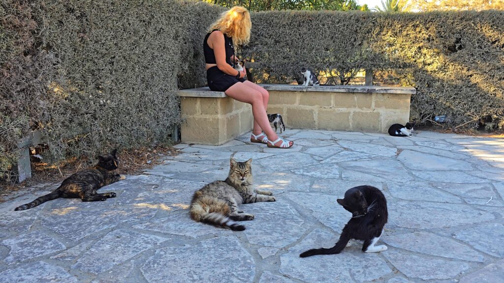 Hala Sultan Tekke - Larnaka, Kypr