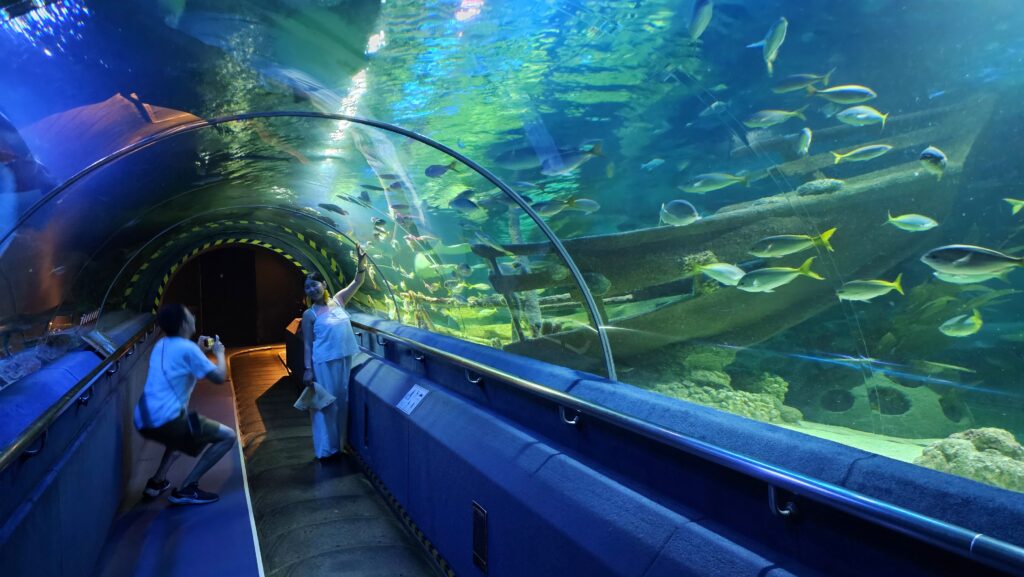 Druhý den v Kuala Lumpur - Bukit Bintang a Aquaria KLCC Aquaria KLCC, Kuala Lumpur, Malajsie