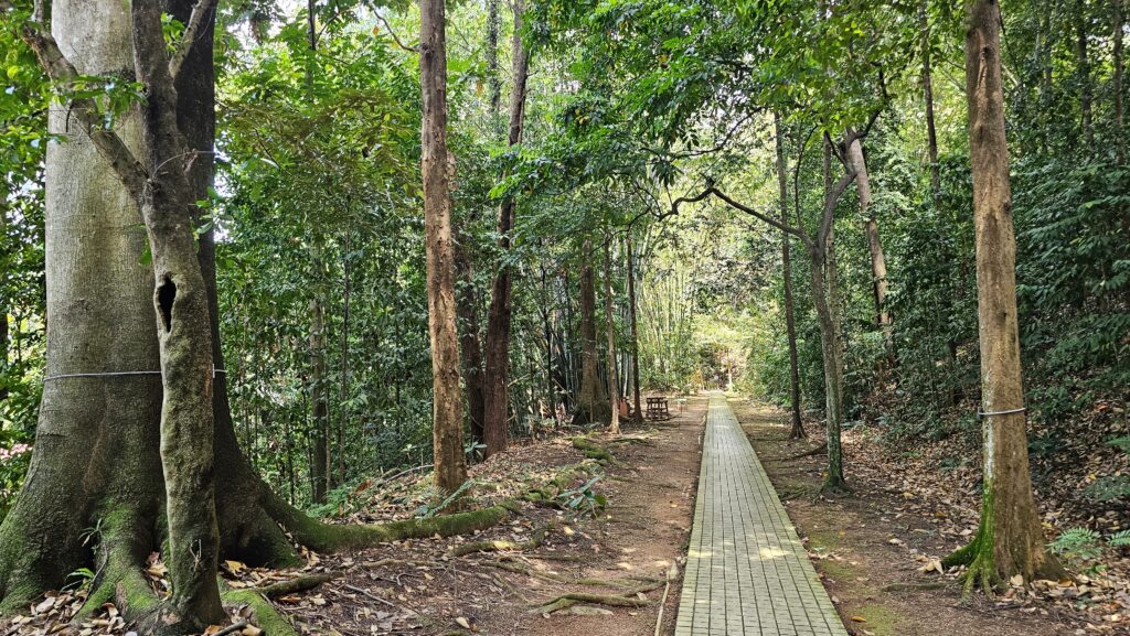 Den třetí - Kuala Lumpur Eco Park a lví tanec Kuala Lumpur Eco Park, Malajsie