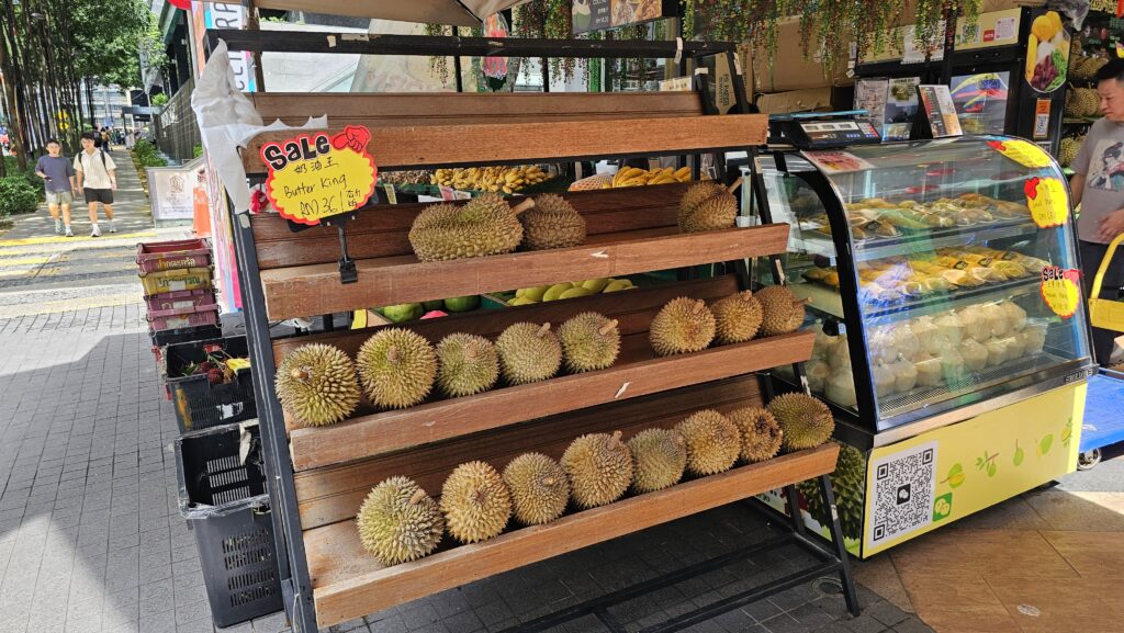 Den třetí - Kuala Lumpur Eco Park a lví tanec durian, Kuala Lumpur, Malajsie