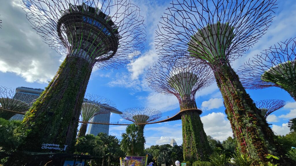 Den čtvrtý - Singapur - Marina Bay a Supertree Gardens by the Bay, Singapur