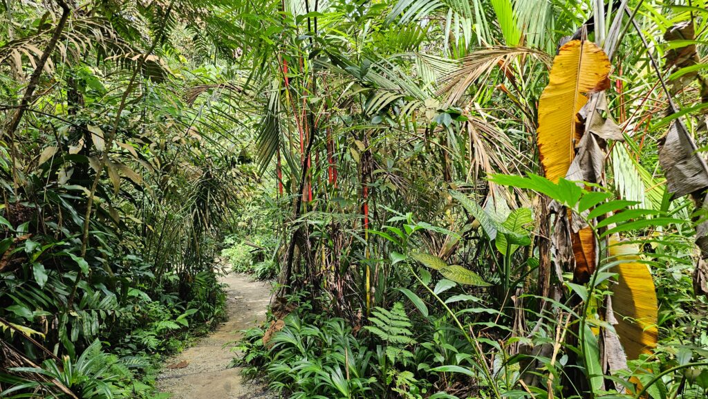 Taman Tugu, Kuala Lumpur, Malajsie