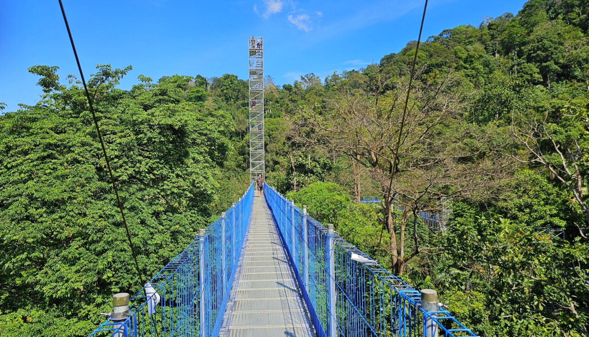FRIM a Forest Skywalk, Kuala Lumpur, Malajsie