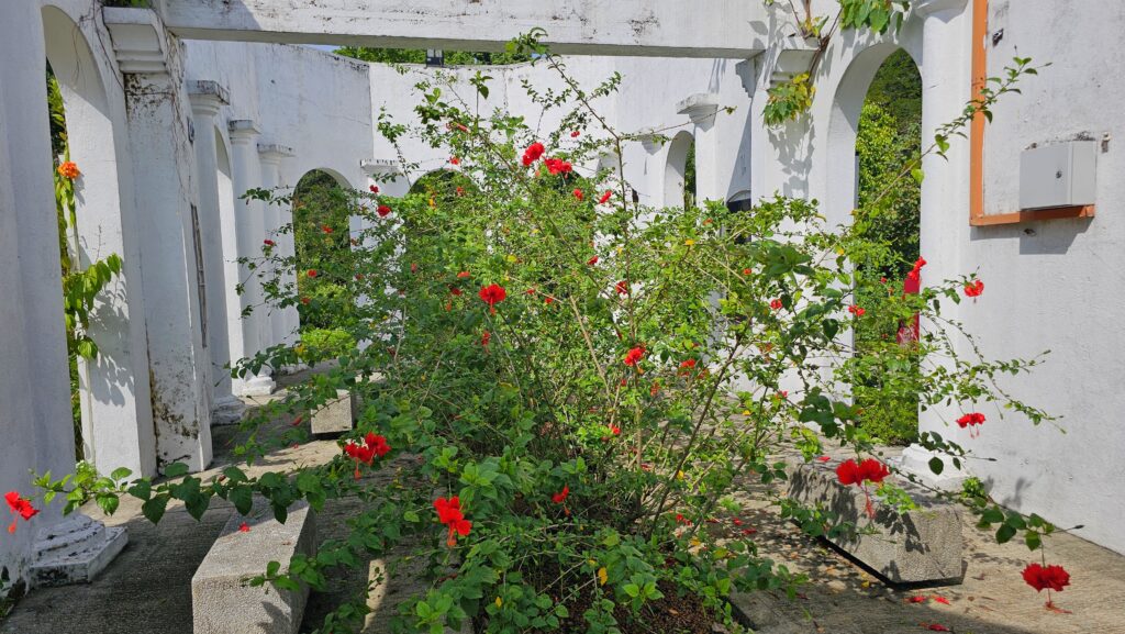 Den dvanáctý - Botanická zahrada v Kuala Lumpur a Muzeum textilu Ibišky v Botanická zahrada Perdana, Kuala Lumpur, Malajsie