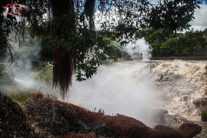 Furnas 44