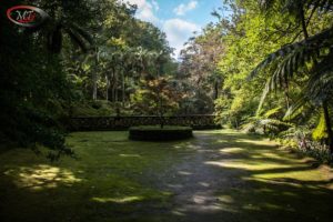 Furnas Terra Nostra garden 39