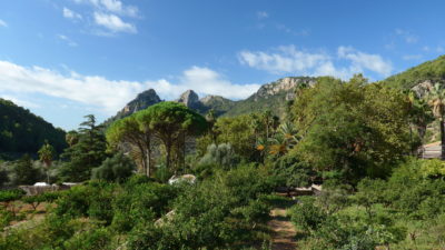 Jardins d’Alfabia